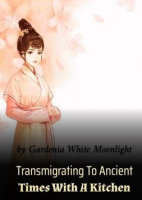 Best Transmigration Light Novels 2025 Empire Novel